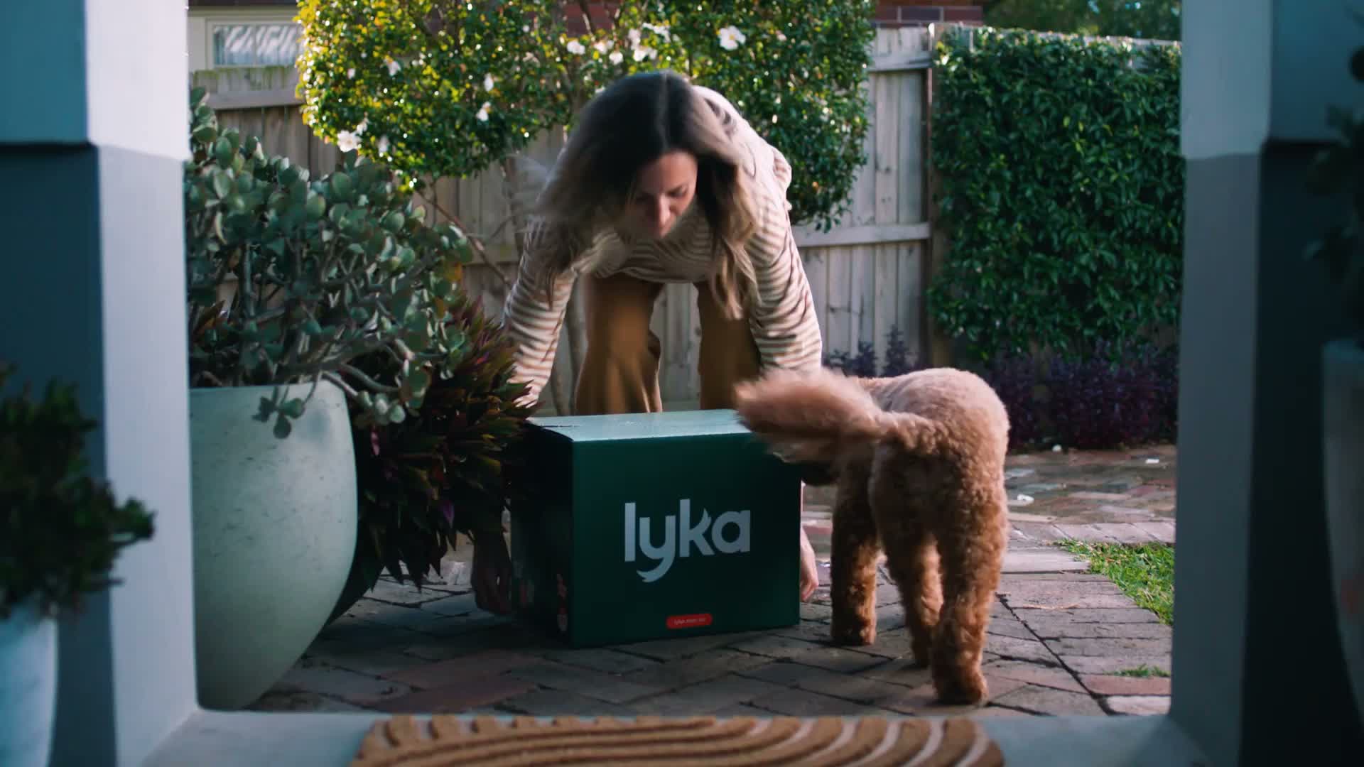 Tutora com a caixa Lyka e seu cão