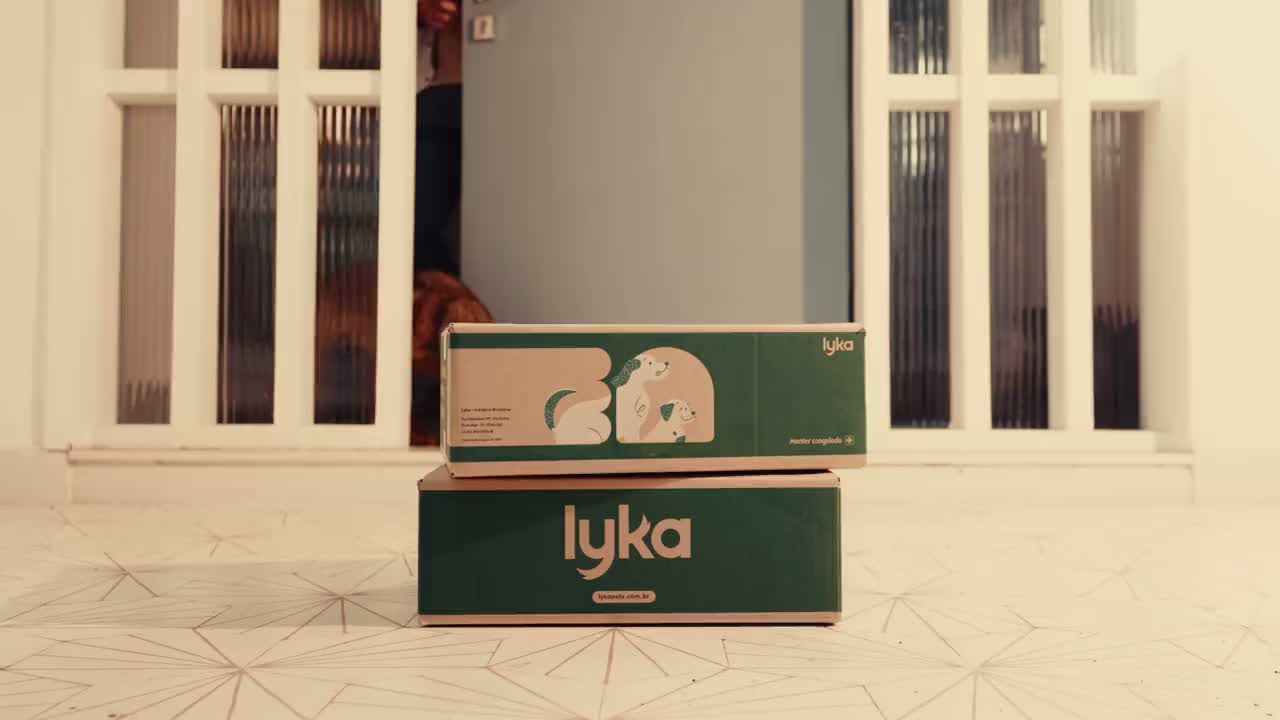 Tutora com a caixa Lyka e seu cão