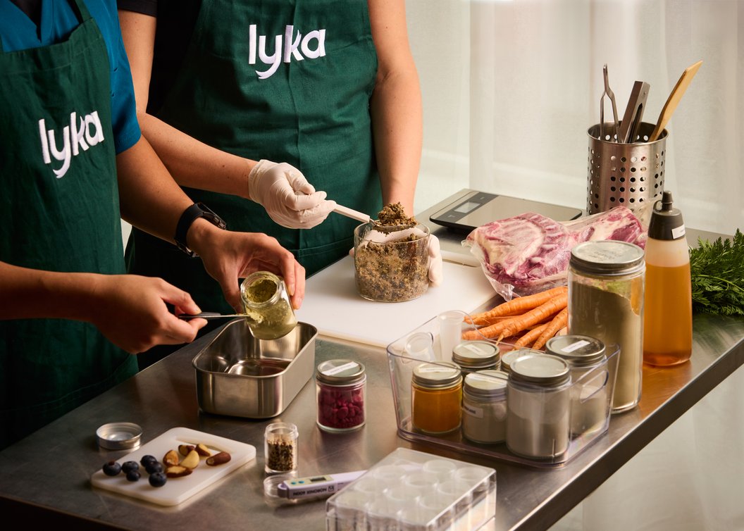 Equipe Lyka preparando receitas frescas na cozinha