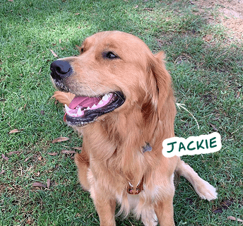 Jackie