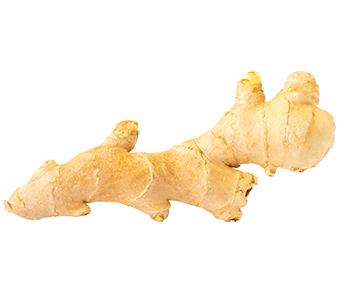 Gengibre