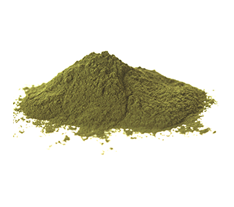 Alga marinha Canadense