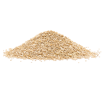 Quinoa